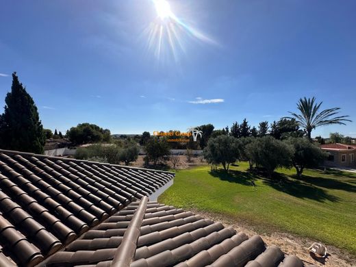 Detached House in San Vicent del Raspeig, Alicante