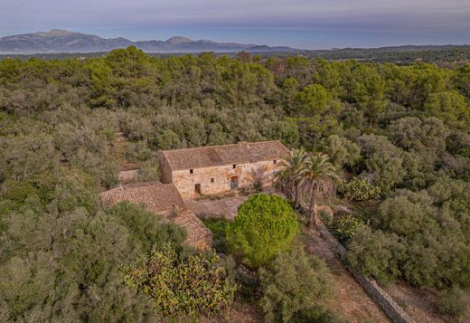 ‏בתים כפריים או חוות ב  Sencelles, Illes Balears