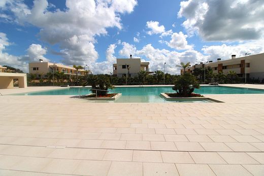 Daire Campos, Illes Balears