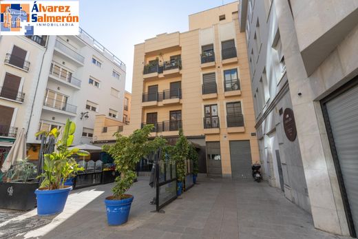 Apartment in Granada, Andalusia