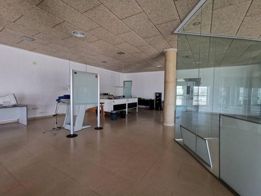 مكتب ﻓﻲ إلتشه, Provincia de Alicante