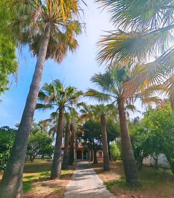 ‏בית חד-משפחתי ב  Chiclana de la Frontera, Provincia de Cádiz