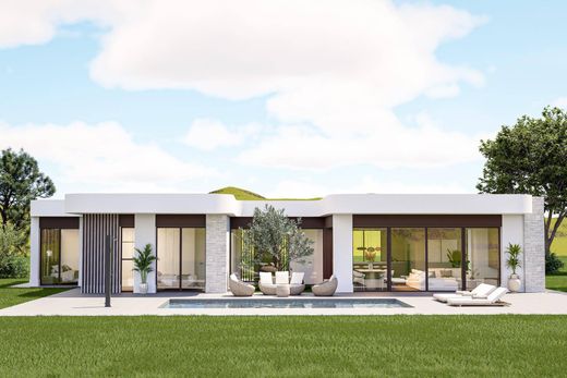 Villa in Pinoso, Alicante
