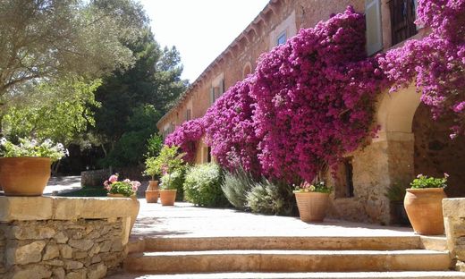 Artà, Illes Balearsのカントリー風またはファームハウス