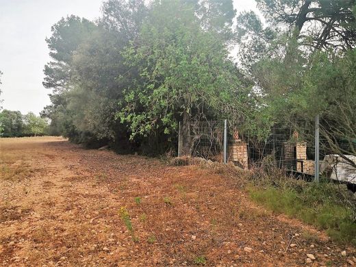 Casa rural / Casa de pueblo en Felanitx, Islas Baleares