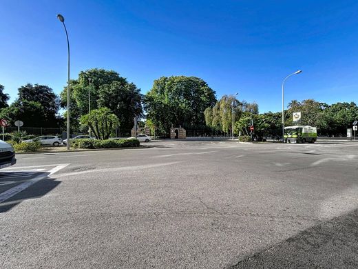 Daire Sevilla, Provincia de Sevilla