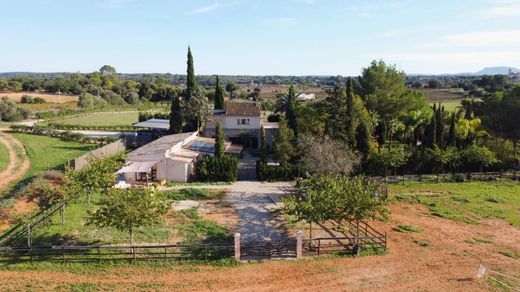 Ρουστίκ ή Αγροικίες σε Sencelles, Illes Balears