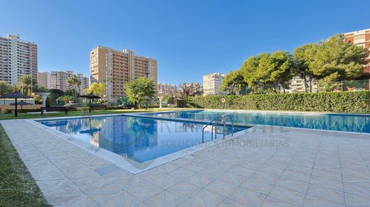 Apartment in Alicante, Valencia
