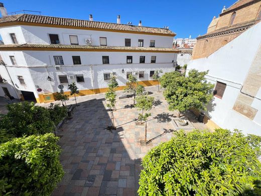 Luxury home in Cordova, Province of Córdoba