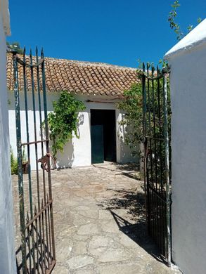 ﻣﻨﺰﻝ ﺭﻳﻔﻲ/ ﺑﻴﺖ ﻤﺰﺭﻋﺔ ﻓﻲ Medina Sidonia, Provincia de Cádiz