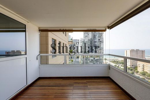 Apartment in Barcelona, Province of Barcelona