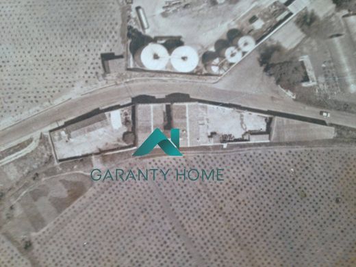 地皮  Monturque, Province of Córdoba