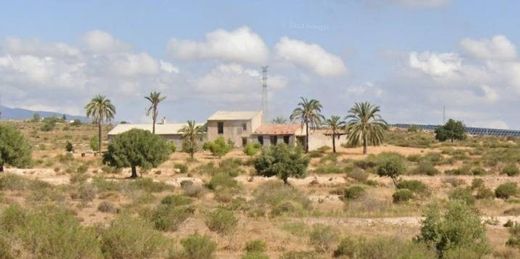 Участок, Las Torres de Cotillas, Murcia