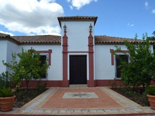 Luxury home in Posadas, Province of Córdoba