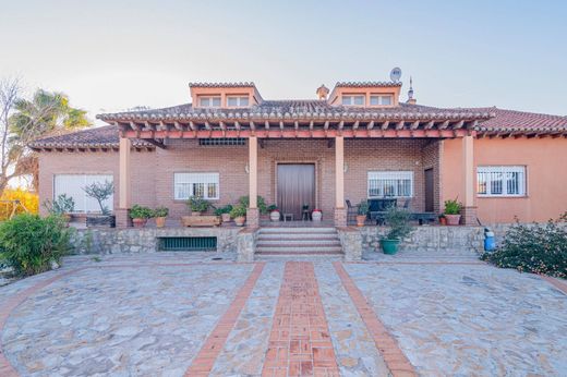 Detached House in Fuente Vaqueros, Granada