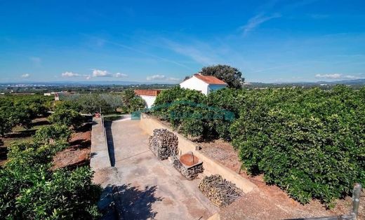 Land in Náquera, Valencia