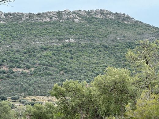 Land in Cáceres, Caceres
