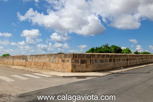 Αγροτεμάχιο σε Ses Salines, Illes Balears