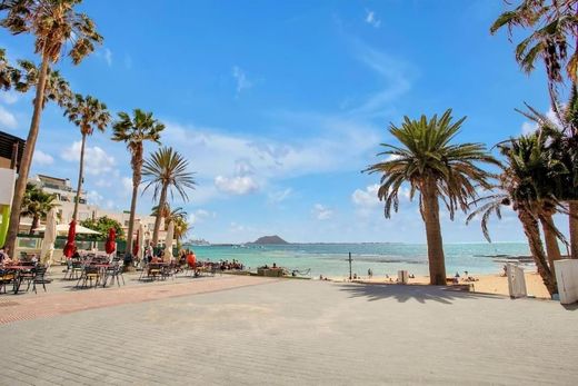 Residential complexes in La Oliva, Province of Las Palmas