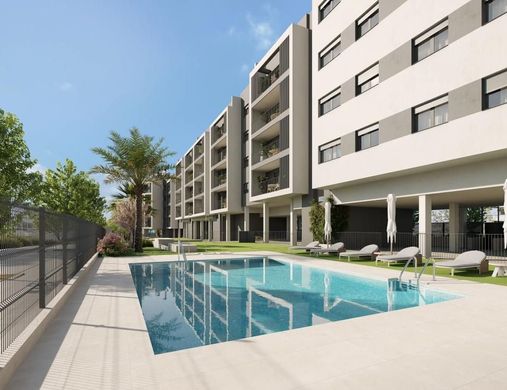 Daire Alicante, Provincia de Alicante