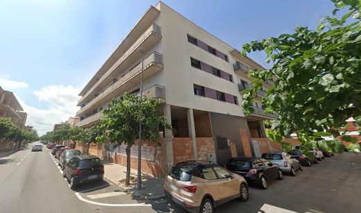 Residential complexes in Amposta, Province of Tarragona