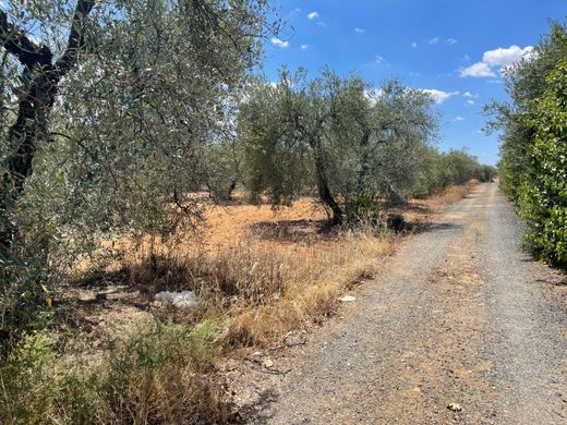 Terreno a Tarahal, Provincia de Granada