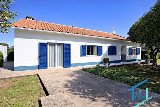 Rural or Farmhouse in Abrantes, Distrito de Santarém