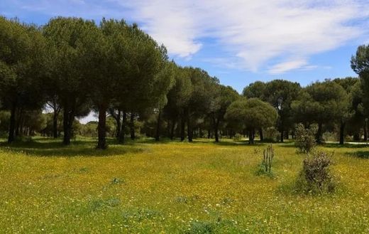 Apartment in Majadahonda, Province of Madrid