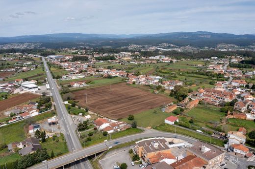 Land in Águeda, Aveiro