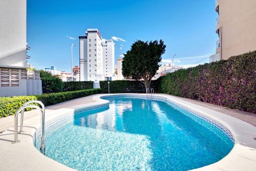 Apartment in Gandia, Valencia