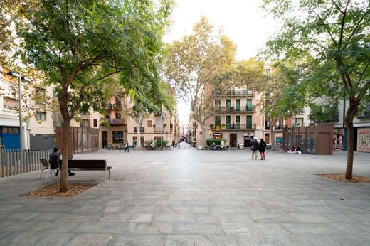 Daire Barselona, Província de Barcelona