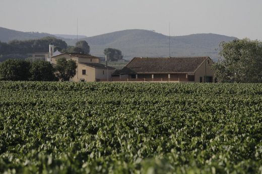 Rustik ya da çiftlik Castellet, Província de Barcelona
