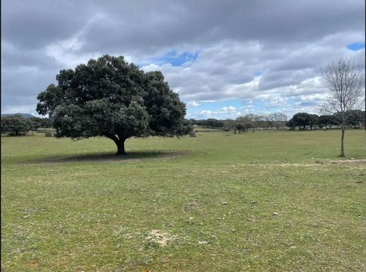 Участок, Галапагар, Provincia de Madrid