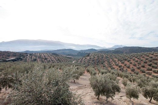 Rural ou fazenda - Loja, Provincia de Granada