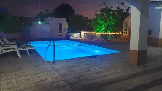 Detached House in Archena, Murcia