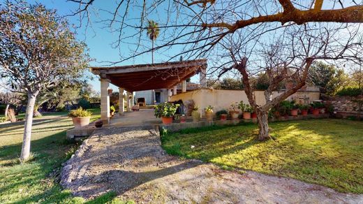 Detached House in Sant Joan, Province of Balearic Islands