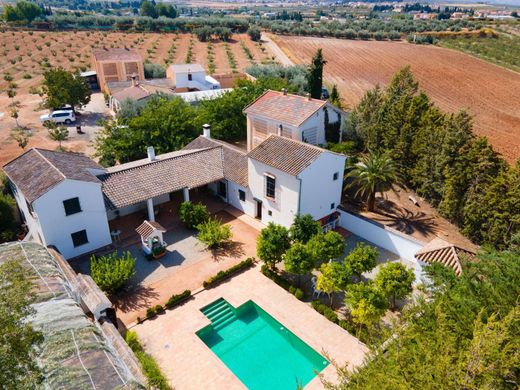 Villa in Moraleda de Zafayona, Granada