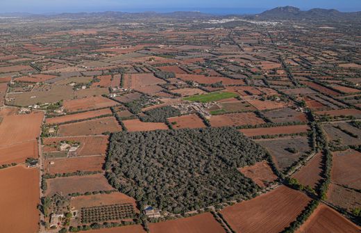 Αγροτεμάχιο σε Felanitx, Illes Balears