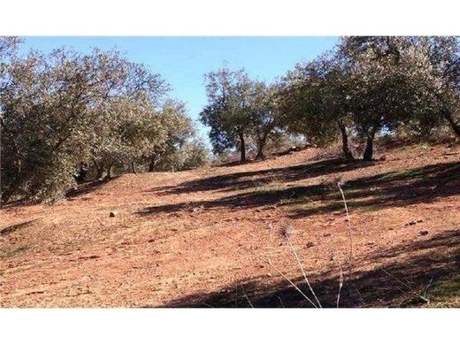 Terreno en Loja, Provincia de Granada