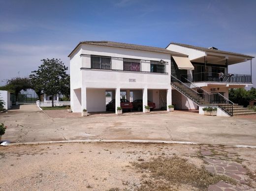 단독 저택 / Alzira, Província de València