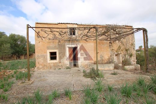 Manacor, Illes Balearsのカントリー風またはファームハウス