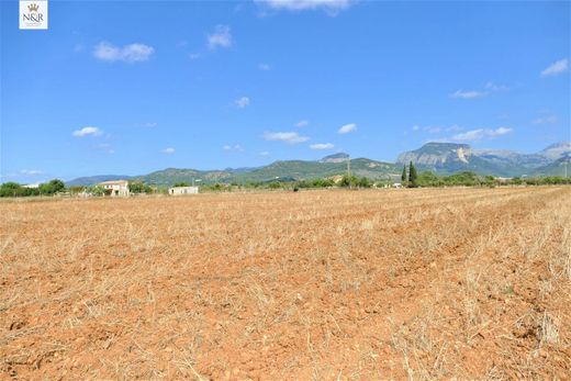 Ρουστίκ ή Αγροικίες σε Lloseta, Illes Balears