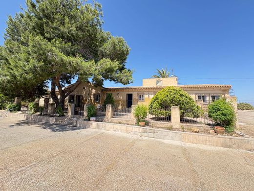 Detached House in Algorfa, Alicante
