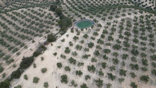 أرض ﻓﻲ Iznalloz, Provincia de Granada