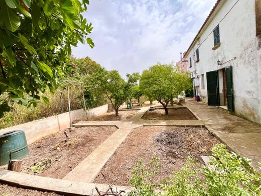Detached House in Palma de Mallorca, Province of Balearic Islands