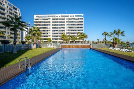 Penthouse à Torrevieja, Alicante