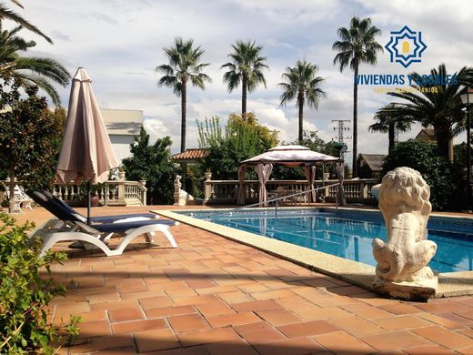 Ρουστίκ ή Αγροικίες σε Vegas del Genil, Provincia de Granada