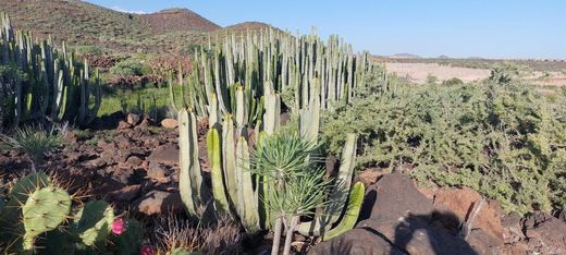 Teren w San Miguel De Abona, Provincia de Santa Cruz de Tenerife