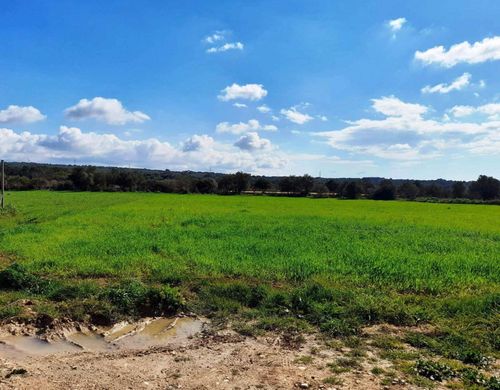 豪宅  Costitx, Illes Balears