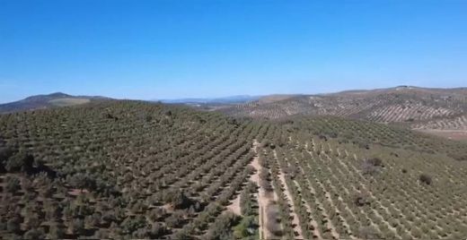 Grundstück in Antequera, Málaga